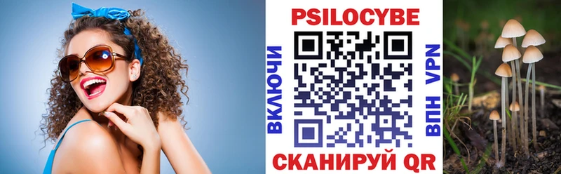 blacksprut вход  Нерчинск  Галлюциногенные грибы MAGIC MUSHROOMS  закладки 